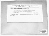 Image Associated With the Occurence